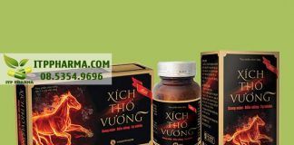 Xích Thố Vương