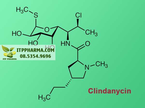 Clindanycin- Thành phần chính trong T3 Mycin