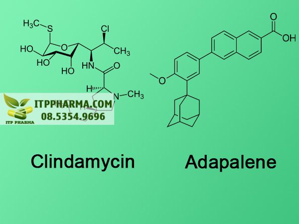 Thành phần Klenzite C: Adapalene và Clindamycin