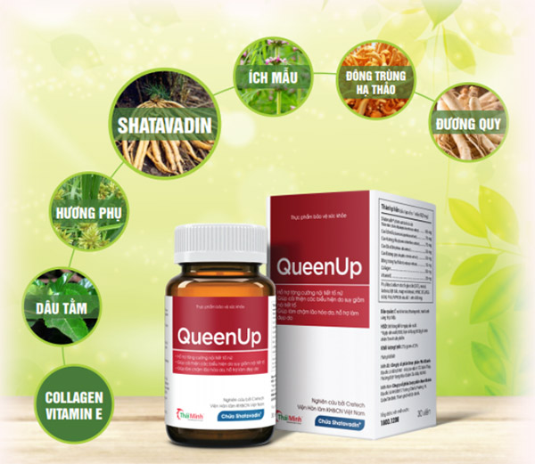 Các loại thảo dược trong sản phẩm QueenUp