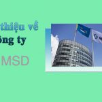 MSD_1