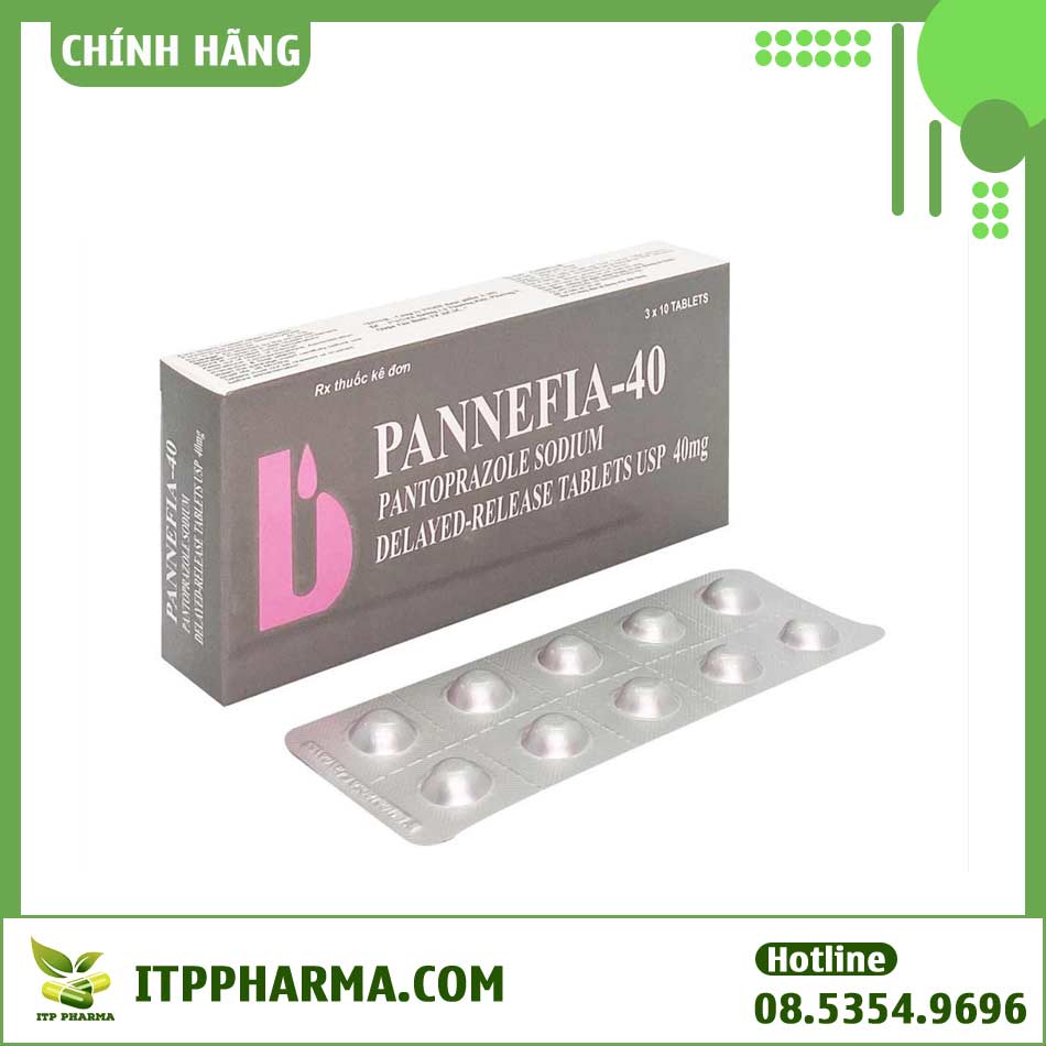 Thuốc Pannefia - 40