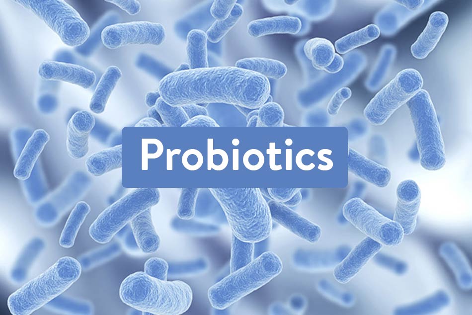 Men vi sinh - Probiotics - Lợi khuẩn là gì?