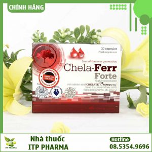 Chela Ferr Forte được bán ở đâu?