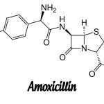 amoxicillin