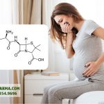 amoxicillin-3