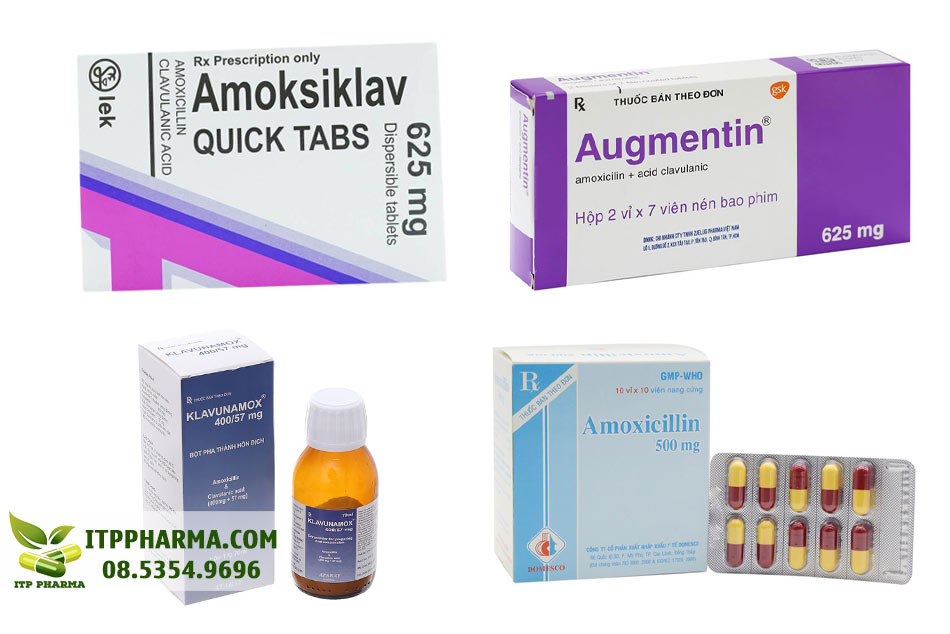 Một số thuốc chứa hoạt chất Amoxicillin trên thị trường
