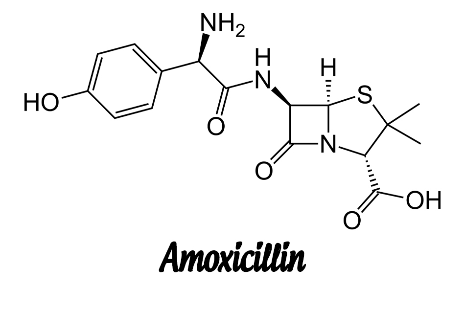 Cấu trúc hóa học của Amoxicillin