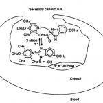 Omeprazole