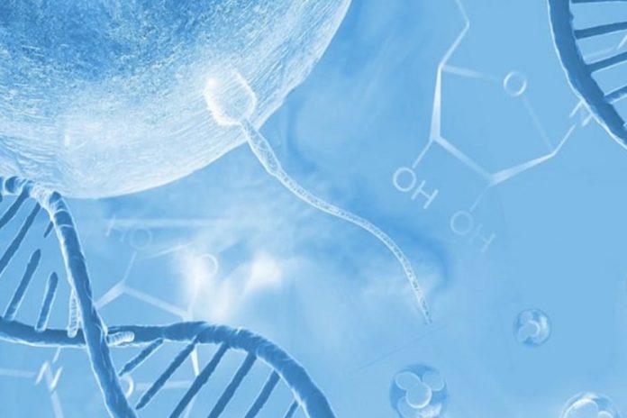 Ảnh hưởng của phân mảnh DNA tinh trùng đến kết quả hỗ trợ sinh sản và sẩy thai liên tiếp