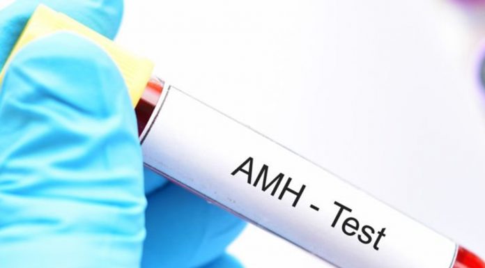 Sự thay đổi nồng độ AMH của bệnh nhân u nguyên bào nuôi có bảo tồn tử cung trong quá trình điều trị Methotrexate tại Bệnh viện Phụ sản Hà Nội