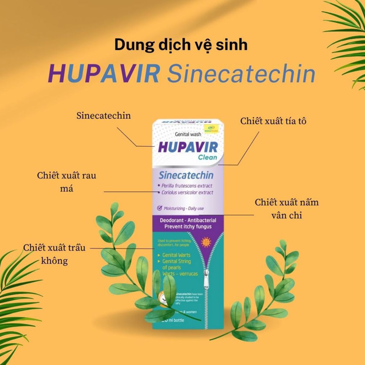 Dung dịch vệ sinh Hupavir Sinecatechin