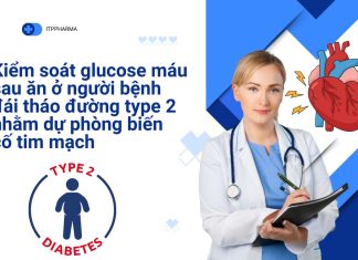 Kiểm soát glucose máu sau ăn ở người bệnh đái tháo đường type 2 nhằm dự phòng biến cố tim mạch