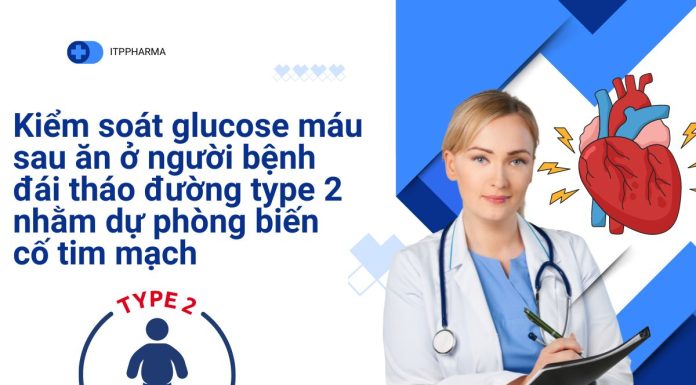 Kiểm soát glucose máu sau ăn ở người bệnh đái tháo đường type 2 nhằm dự phòng biến cố tim mạch