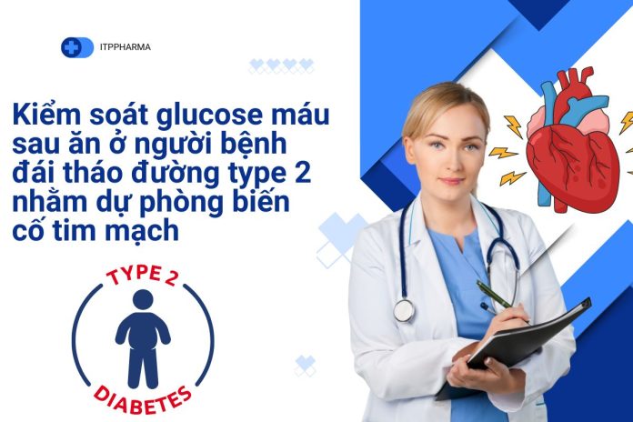 Kiểm soát glucose máu sau ăn ở người bệnh đái tháo đường type 2 nhằm dự phòng biến cố tim mạch