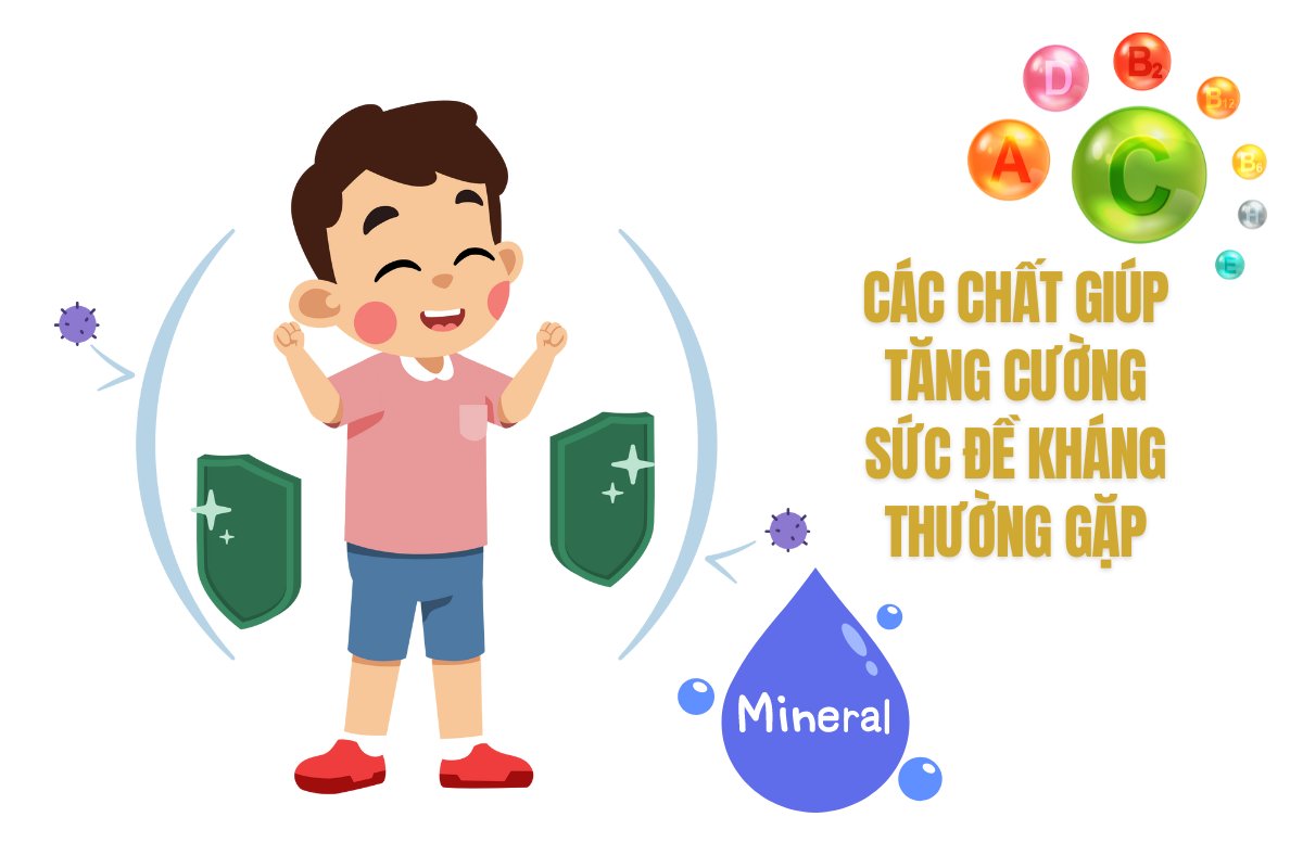 Những thành phần thường gặp để tăng sức đề kháng cho trẻ