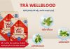 Sử dụng trà giảm mỡ máu sao cho hiệu quả? Trà WellBlood có chứa bộ ba thảo dược quý từ thiên nhiên