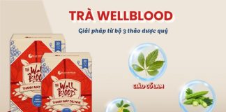 Trà WellBlood có chứa bộ ba thảo dược quý từ thiên nhiên