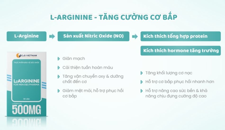 L-Arginine hỗ trợ tăng cường cơ bắp