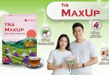 Trà MaxUp – chìa khóa thanh lọc cơ thể và bảo vệ gan tự nhiên Trà MaxUp