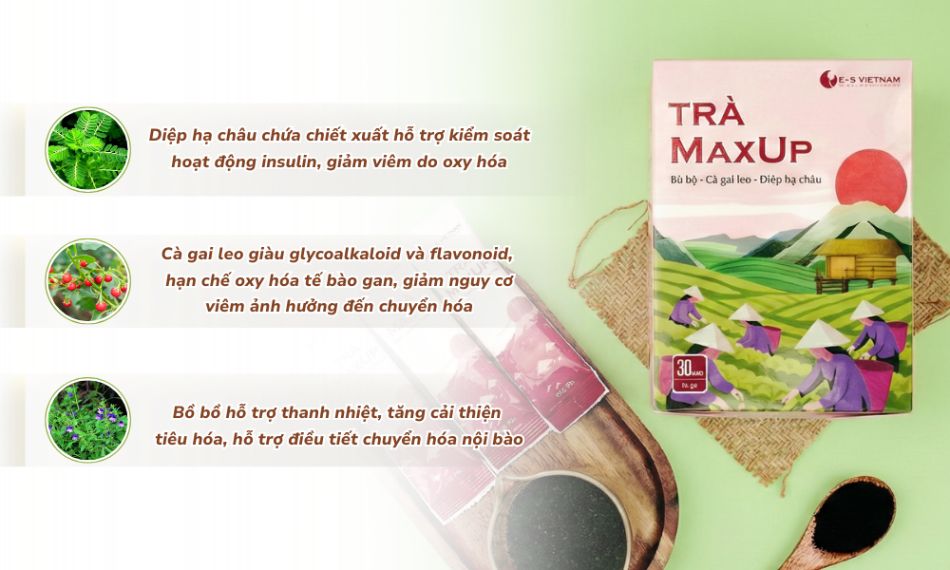 Tác dụng từng thành phần trong Trà Max Up