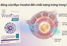 Tác động của Myo-inositol đến sự trưởng thành của trứng và chất lượng phôi Myo-inositol