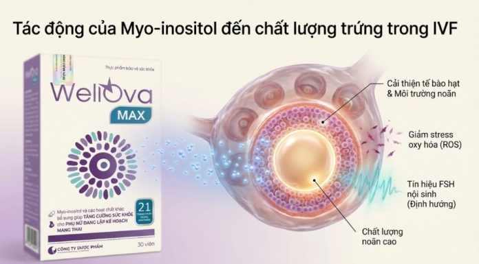 Tác động của Myo-inositol đến sự trưởng thành của trứng và chất lượng phôi Myo-inositol