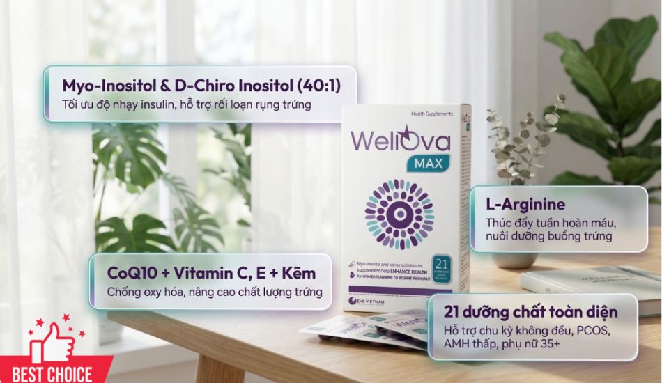 Tăng cường dưỡng chất thiết yếu với WellOva Max để nâng cao chất lượng trứng và ổn định chu kỳ kinh