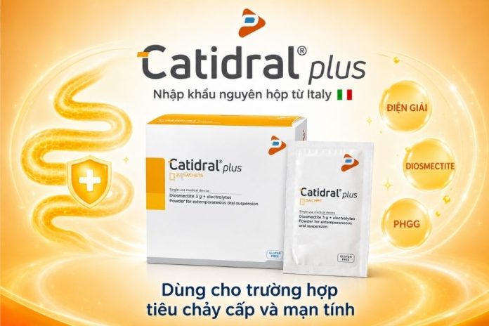 Catidral-Plus-4 Catidral Plus