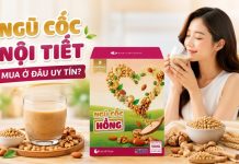 Bột ngũ cốc nội tiết sinh con gái mua ở đâu uy tín nhất? Bột ngũ cốc nội tiết sinh con gái mua ở đâu uy tín nhất?