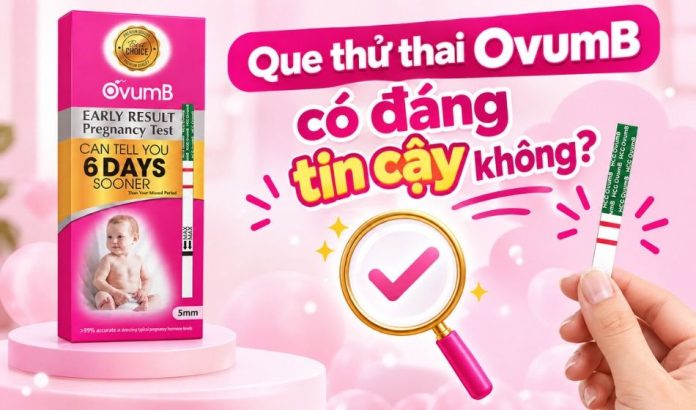 Que-thu-thai-OvumB-4 Que thử thai OvumB