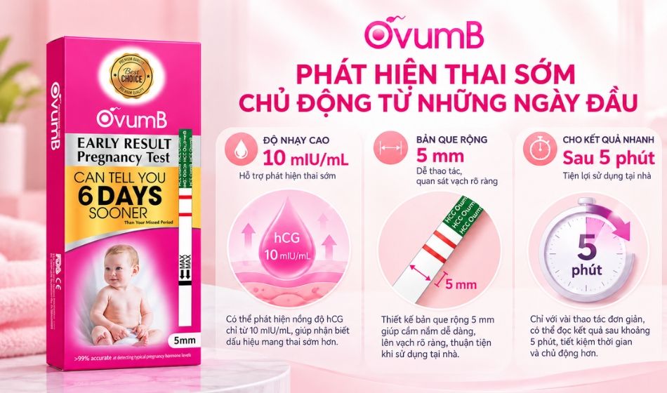 Que thử thai OvumB