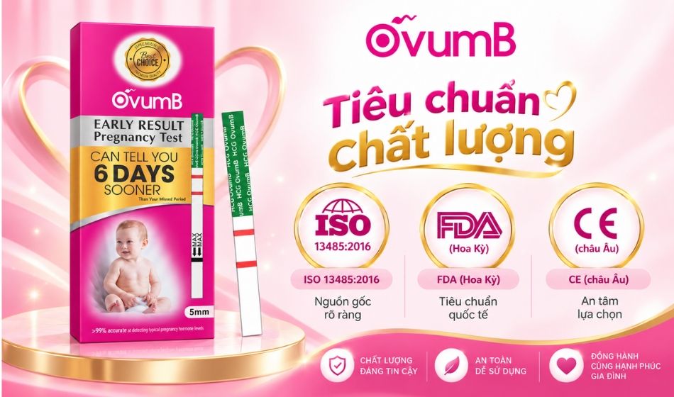 Que thử thai OvumB